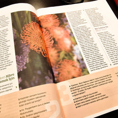 AİLE DERGİSİ - 12 AYLIK