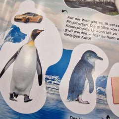 HONIGBAUM MAGAZINE - 12 MONATE ABO