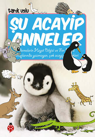 Su Acayip Anneler
