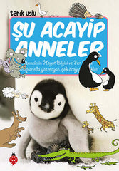 Su Acayip Anneler